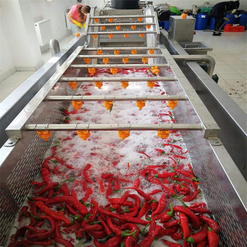 辣椒气泡喷淋清洗机：提升剁椒加工效率的主要设备 